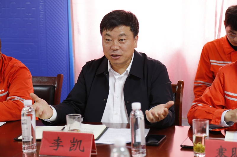 西能集團(tuán)黨委委員、副總經(jīng)理李凱.JPG