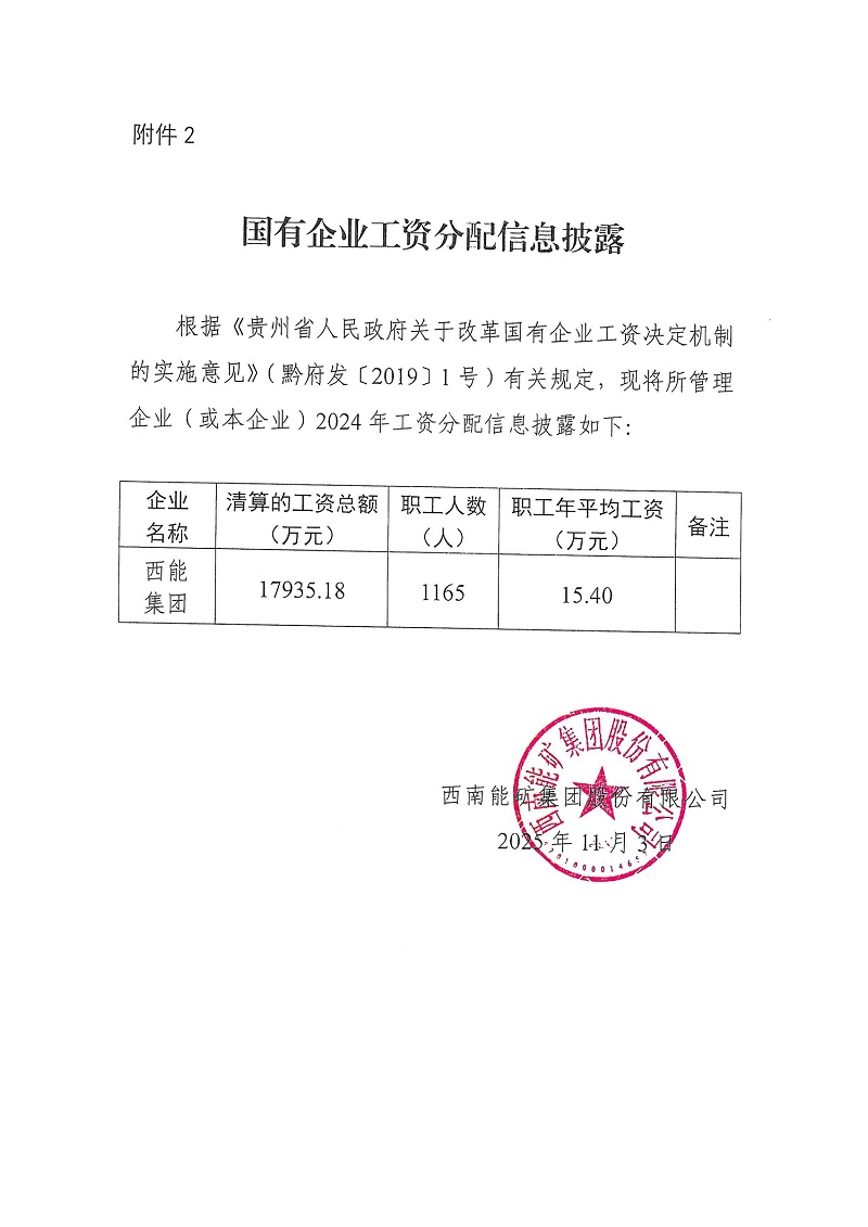 西南能礦集團(tuán)2024年工資分配信息披露.jpg